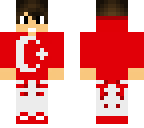 iemir