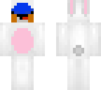 mudkip bunny