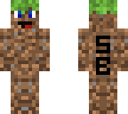 skyblock skin