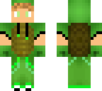 turtle guy