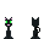 black cat