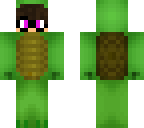 turtle nerd