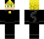 chatnoir or adrienagreste