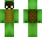 turtle brother