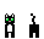 black cat