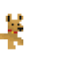 tiny dog