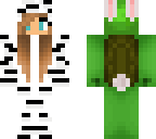 zebra turtle easter skin
