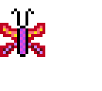 pretty butterfly