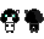 black n white kitty