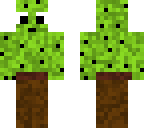cute cactus