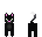 black cat