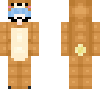 twin skin