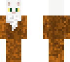 clover the cat skin
