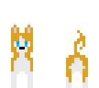 corgi