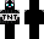 hood tnt cat