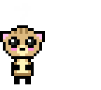 kitten kawaii