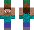 kleiner steve