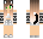 cat skin