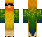 cool parrot