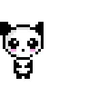 panda bear