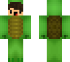 turtle derp
