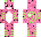 watermelon cat