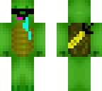 best turtle of time