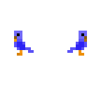 birds