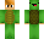 i like turtles