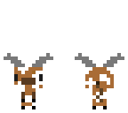 cute baby cow