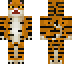 grumpy adult tiger