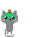 nyan kat