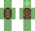 turtle fixed