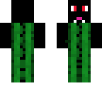 cat the cactus
