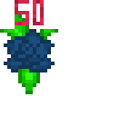 50 flowers