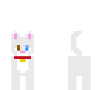 my cat zaney