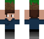 stupidness with dirt block