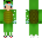 turtle ice