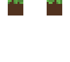 grass disapear