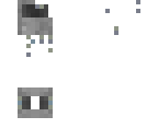 silverfish