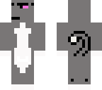 stupid cat