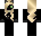 chat noir