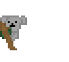 koala