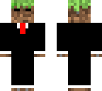 mister dirt