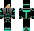 skin