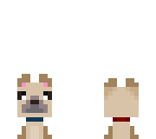 pug