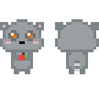 racoon