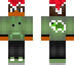 christmas turtle