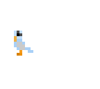 my bird