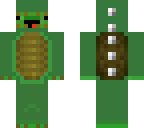turtle